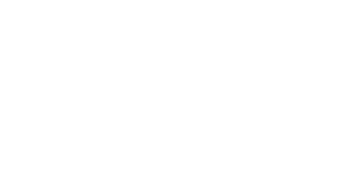 nestle proffessional