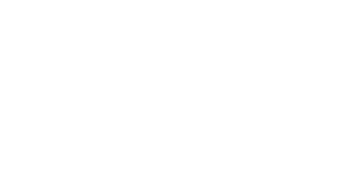 pink dolphin