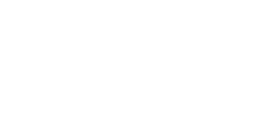 purina brightmind